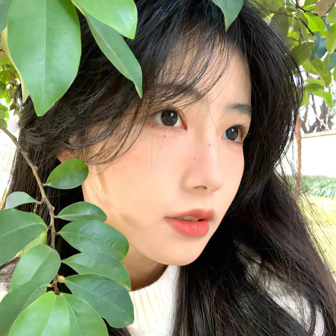 夏日重现
